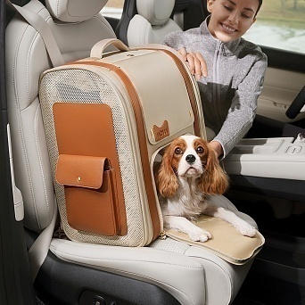 Девайси для ваших улюбленців